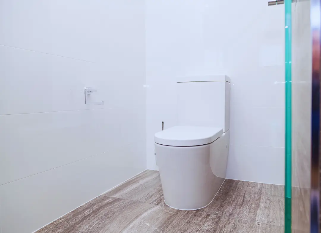 Remplacement de wc Pont-de-Metz